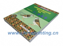 Ghana  Textbook printing in China 2024 SWP4-48