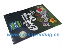 Australian gift bag sticker printing in China 2016 SWP33-11